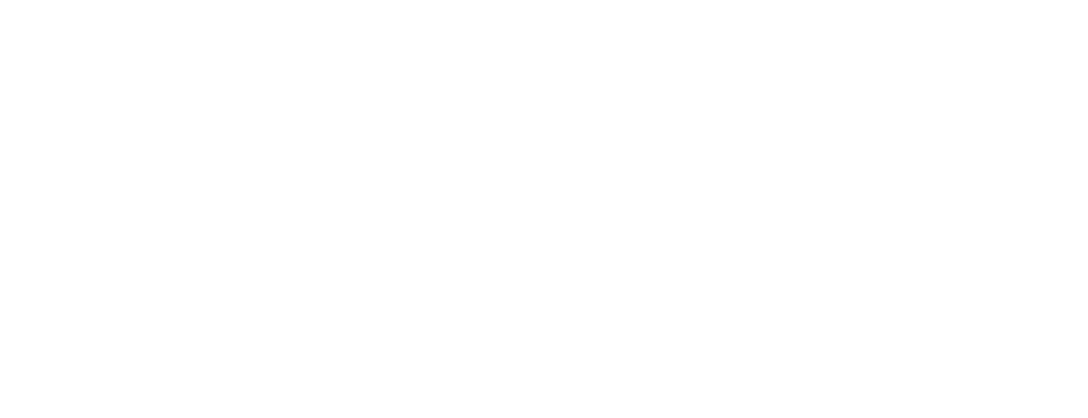 Simgularity